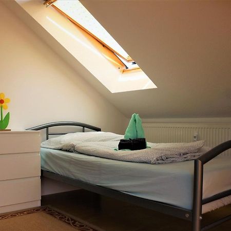 Zentral Gelegene Wohnung Nahe Schwanenteich ซวิคเคา ภายนอก รูปภาพ