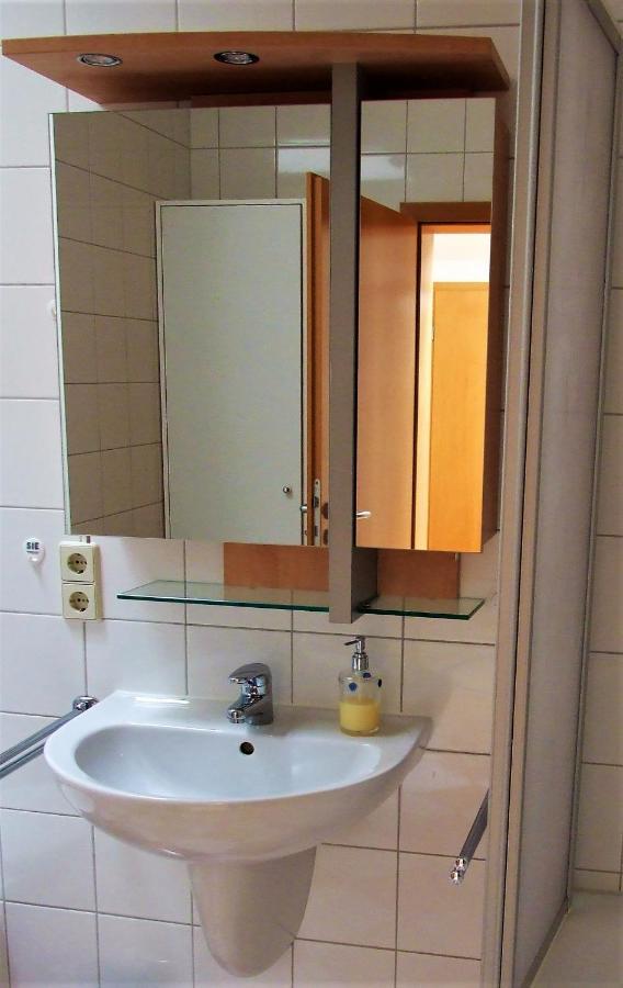 Zentral Gelegene Wohnung Nahe Schwanenteich ซวิคเคา ภายนอก รูปภาพ