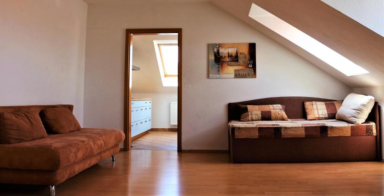 Zentral Gelegene Wohnung Nahe Schwanenteich ซวิคเคา ภายนอก รูปภาพ